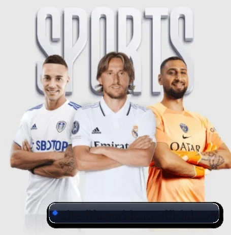坚持做好基础的事（hth sports）
